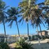 faro tequendema