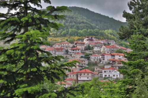 hotel mitikas