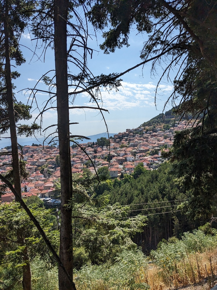 hotel mitikas