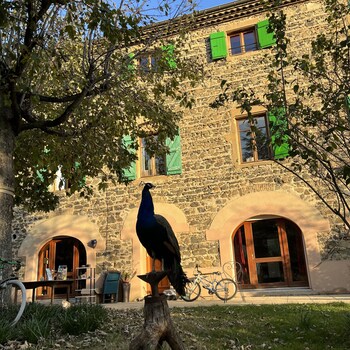 domaine de pipangaille