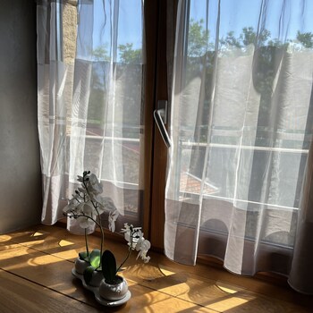 domaine de pipangaille