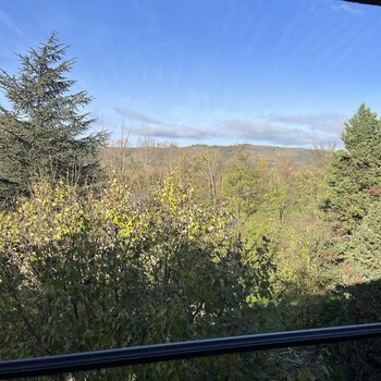 domaine de pipangaille