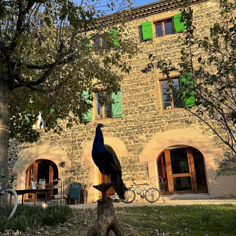 domaine de pipangaille