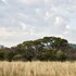 letamo at qwabi private game reserve