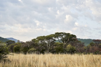 letamo at qwabi private game reserve