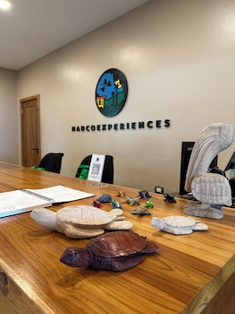 mt plaisir estate hotel