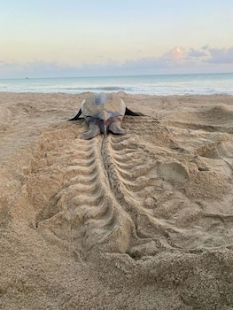 mt plaisir estate hotel