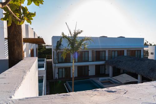 cajueiro da praia