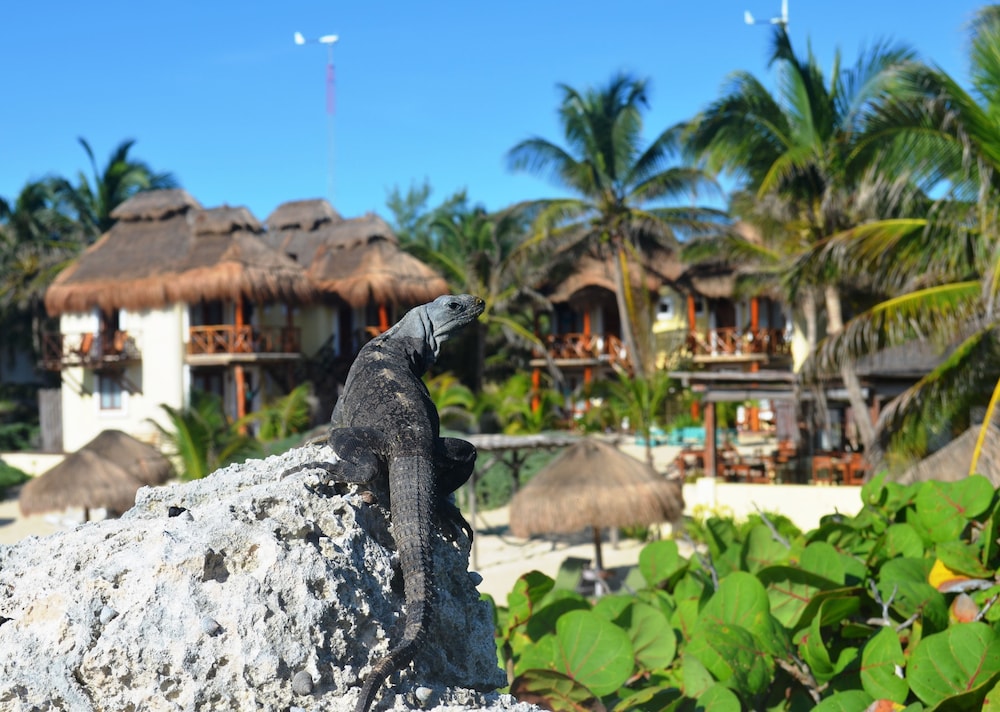 tulum