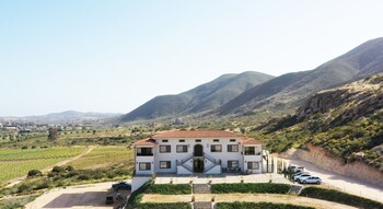 valle de guadalupe