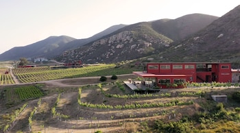 valle de guadalupe