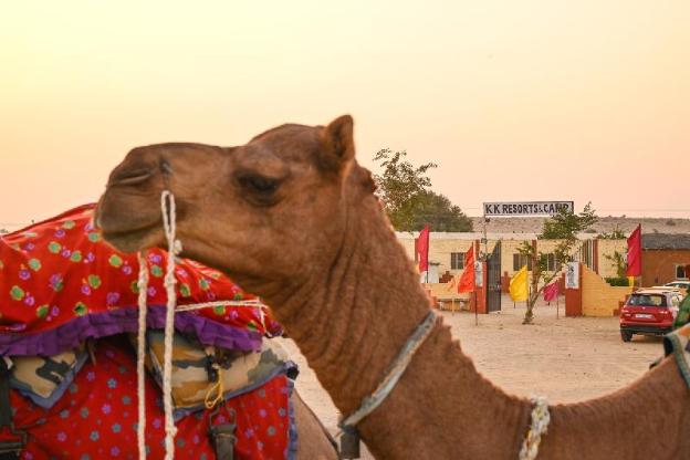 shri ram desert camp jaisalmer