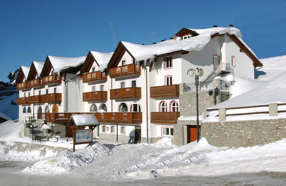 hotel orchidea