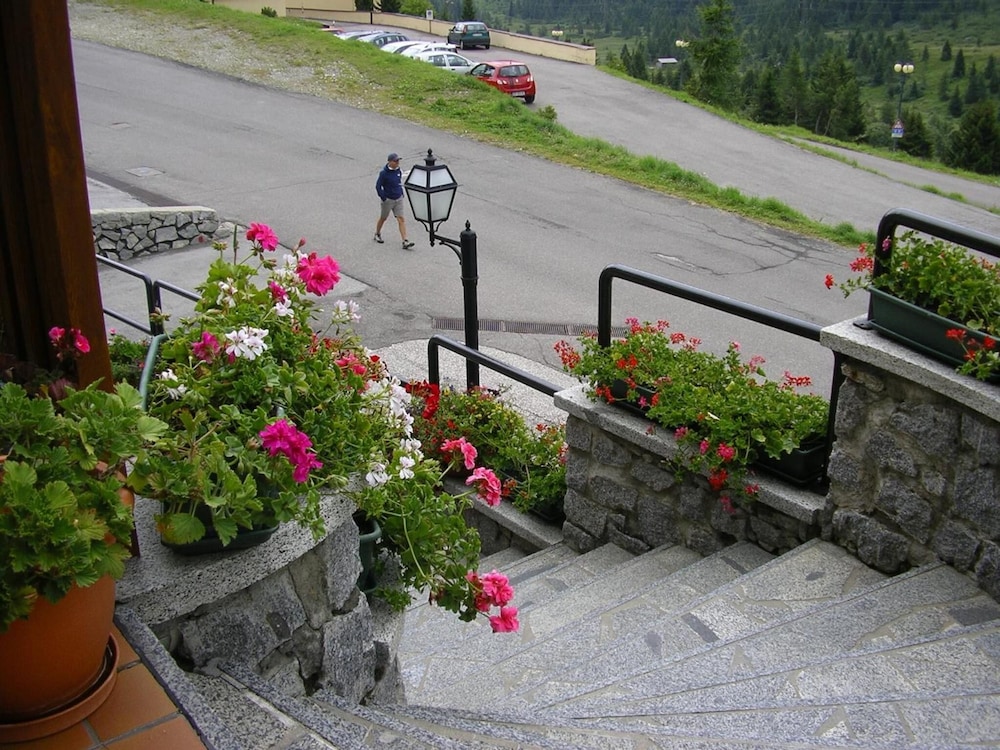 hotel orchidea