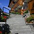 hotel orchidea