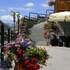 hotel orchidea