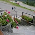 hotel orchidea