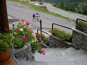 hotel orchidea