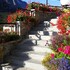 hotel orchidea