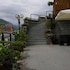 hotel orchidea
