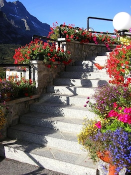 hotel orchidea