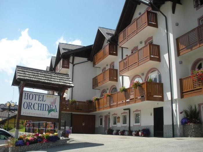 hotel orchidea