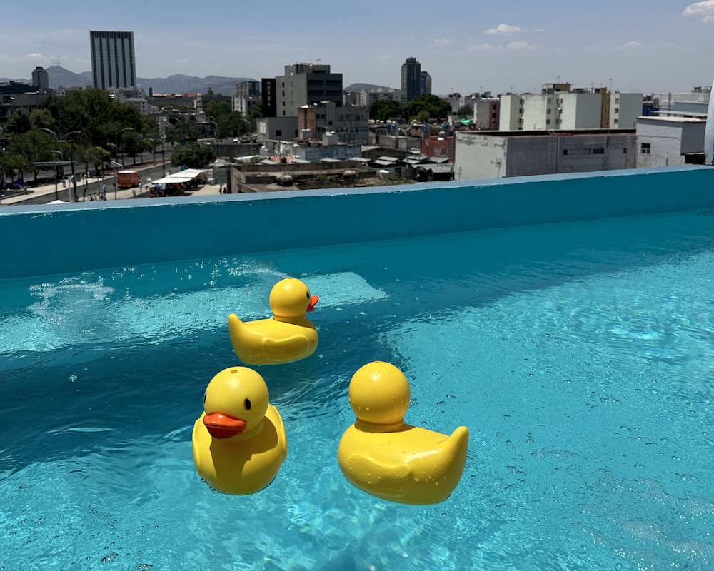 mala vecindad centro historico