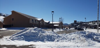 quality inn and suites