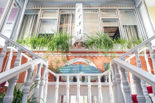 elia boutique hostel