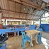 oyo 90664 rabi hotel