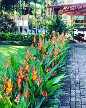 la fortuna