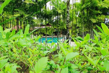 la fortuna