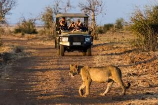 Muchenje Safari Lodge,On A River,5 star