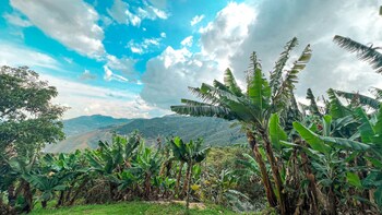 hotel campestre el molino dapa cali