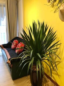 ecopark apartment hung yen