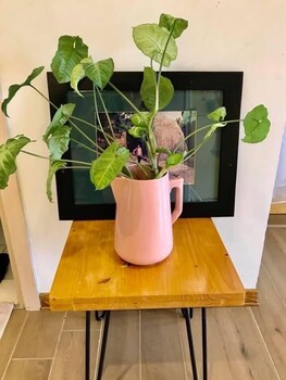 ecopark apartment hung yen