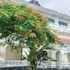 ada garden hotel okinawa