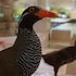 ada garden hotel okinawa