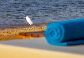 zen resort by tbh hotels