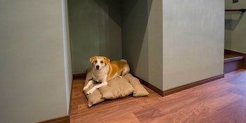 rakuten stay villa nasu