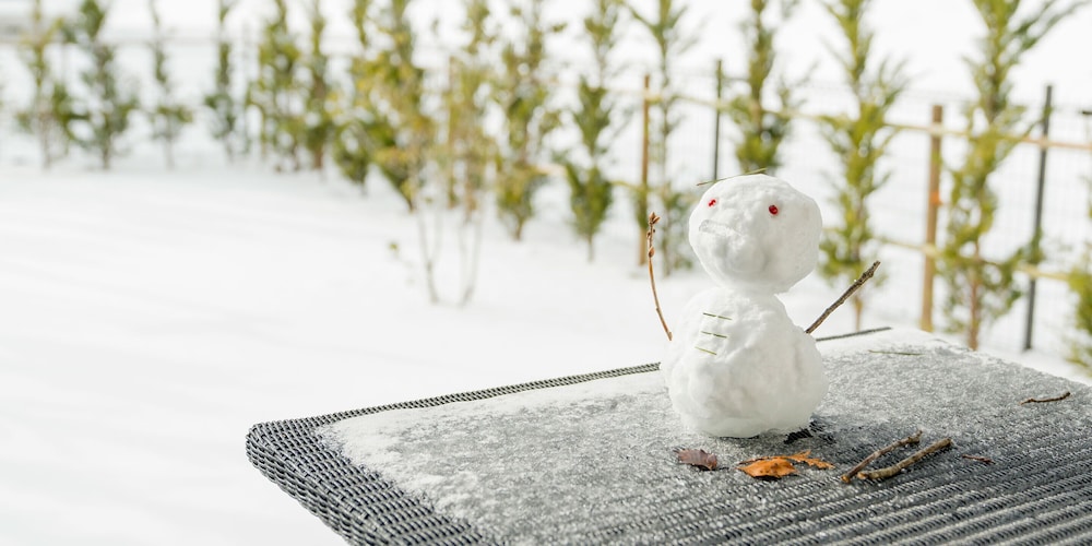 rakuten stay villa nasu