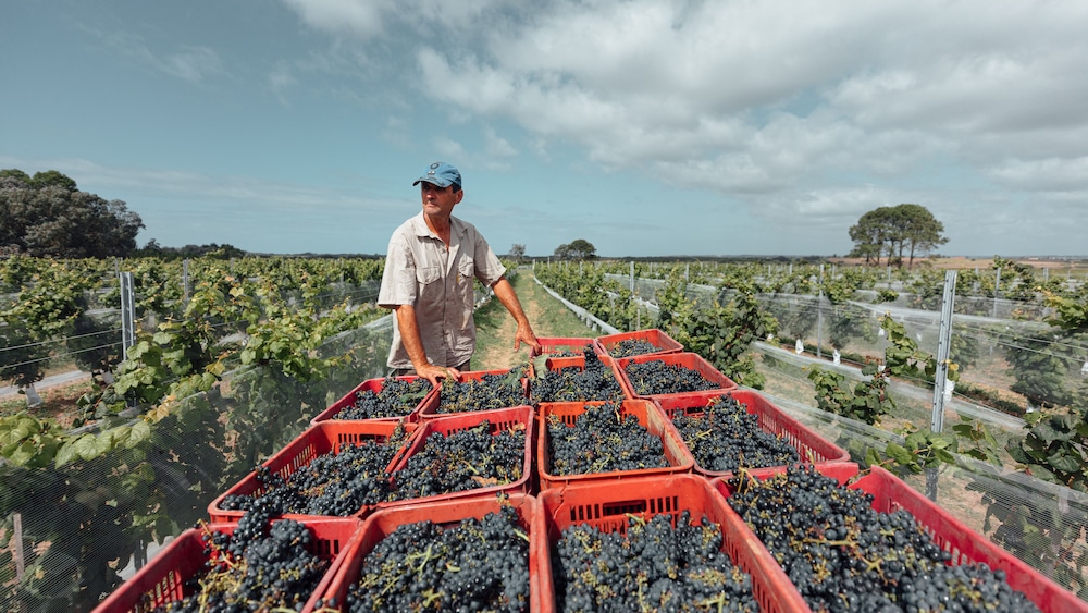 luz culinary wine lodge