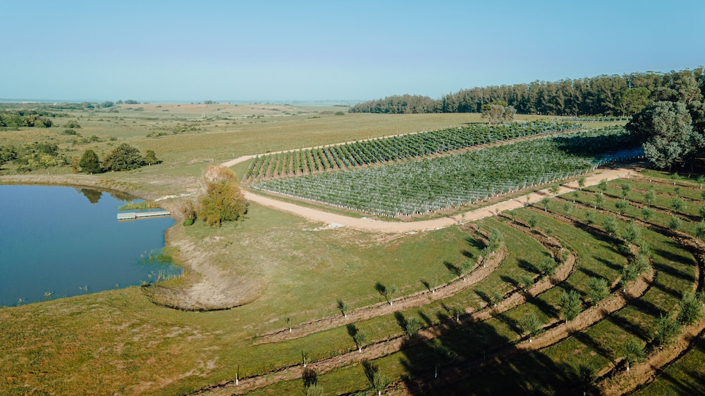 luz culinary wine lodge