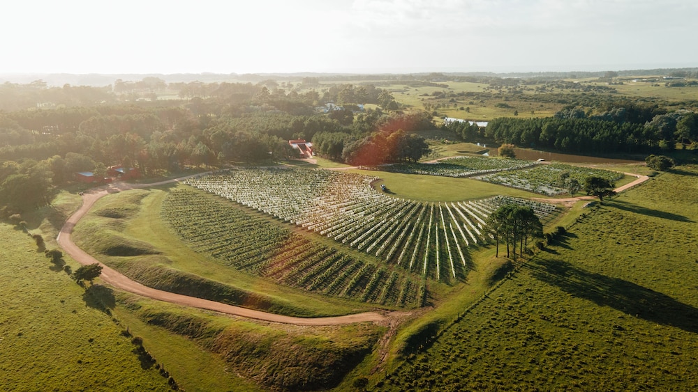 luz culinary wine lodge