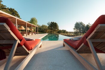 luz culinary wine lodge