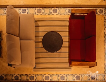 bacalari adults only