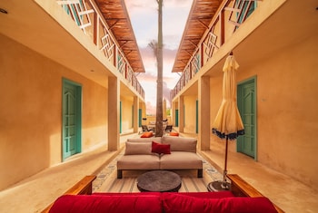 bacalari adults only