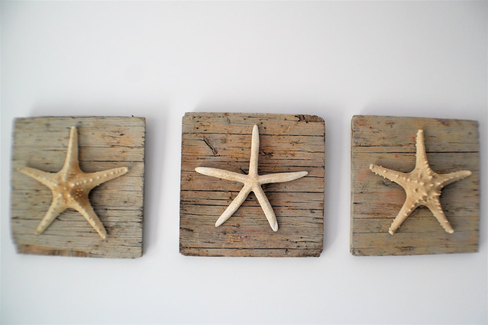 eden beach apartments