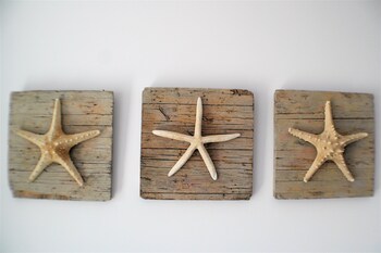 eden beach apartments