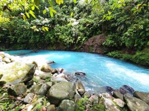 rio celeste nature view